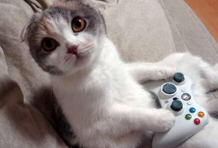 Top Cats In Videogames Green Man Gaming Blog