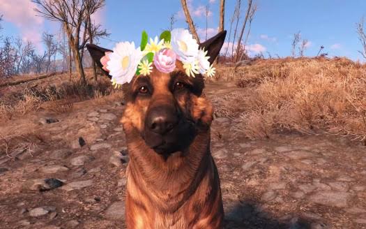 Fallout 4 Can Dogmeat Wear Armor